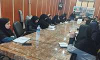 برگزاری کارگاه آموزشی «بهداشت بلوغ» ویژه مراقبین سلامت در شفت