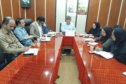 برگزاری کمیته پایش گروهی از مراکز و خانه های بهداشت 