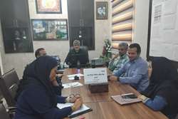 برگزاری کمیته بیماری‌های منتقله توسط پشه آادس در شبکه بهداشت ودرمان شفت