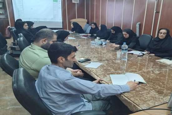 کارگاه سنجش سلامت جسمانی و آمادگی تحصیلی دانش‌آموزان بدو ورود به دبستان در شفت 